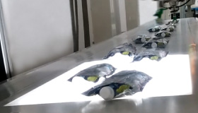 自動インケース化のためのLED照明を活用したカメラの導入